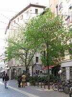 Grenoble 20070414 (24) 